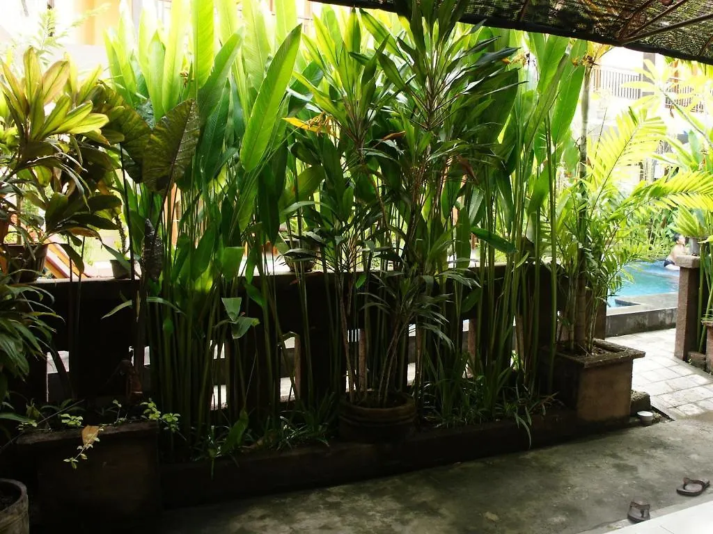 Waringin Homestay Kuta  3*, Kuta (Bali) Indonesia