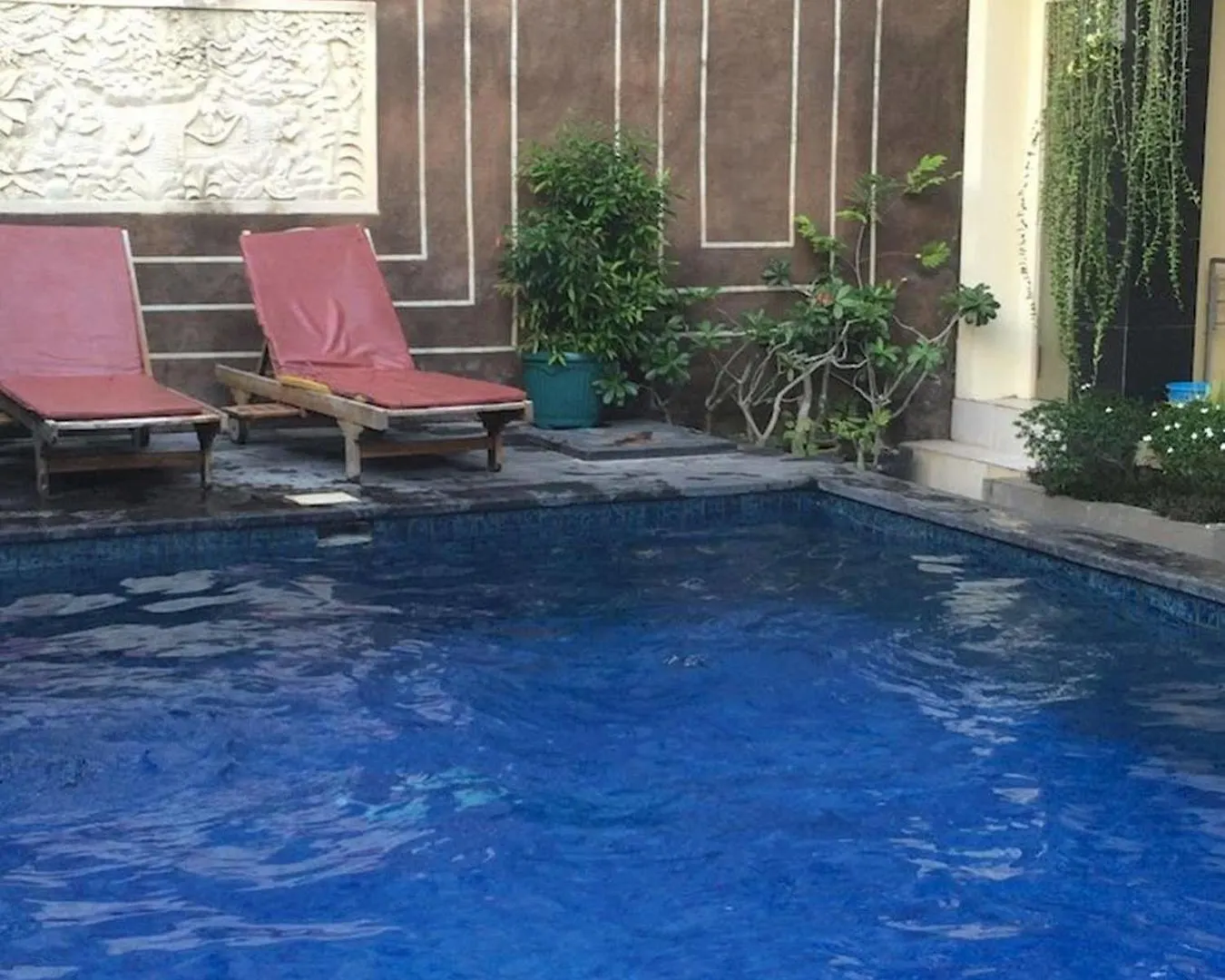 Guest house Waringin Homestay Kuta