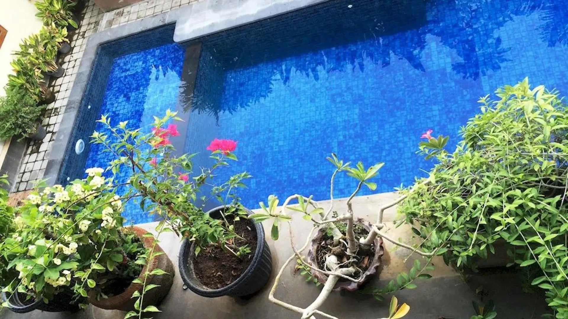 Guest house Waringin Homestay Kuta